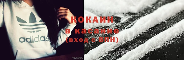 соль ск Белокуриха
