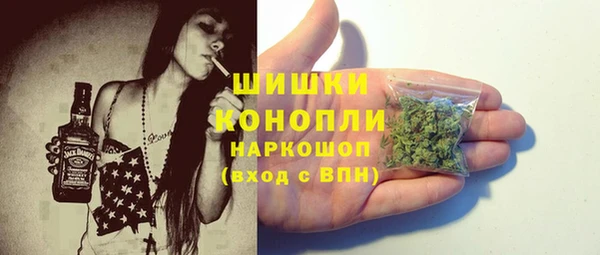 таблы Богородицк