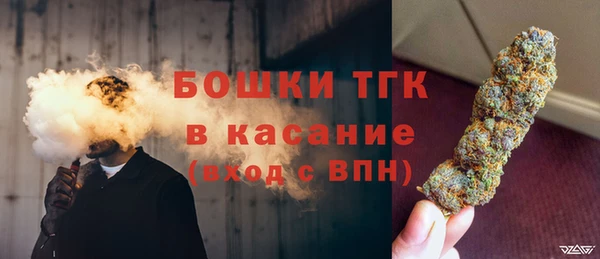 дурь Богданович
