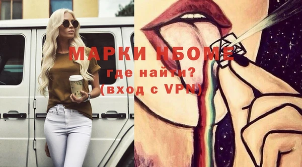 индика Волосово