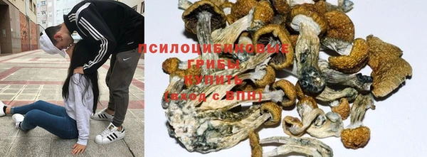 таблы Богородицк