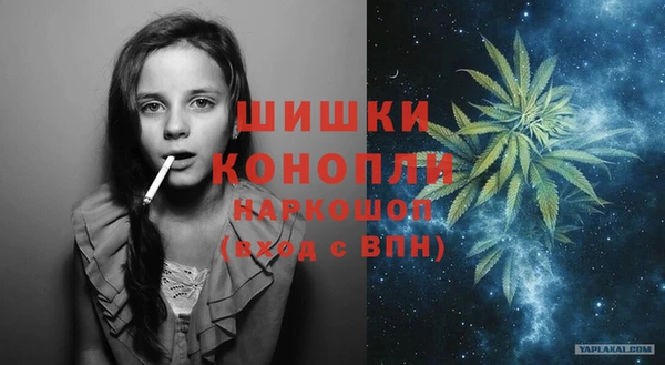 соль ск Белокуриха