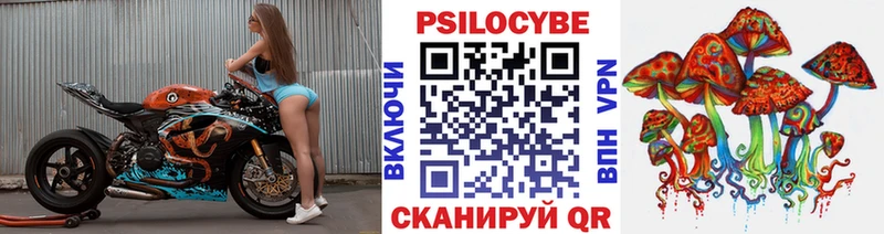 shop официальный сайт  Конаково  Псилоцибиновые грибы Psilocybine cubensis 